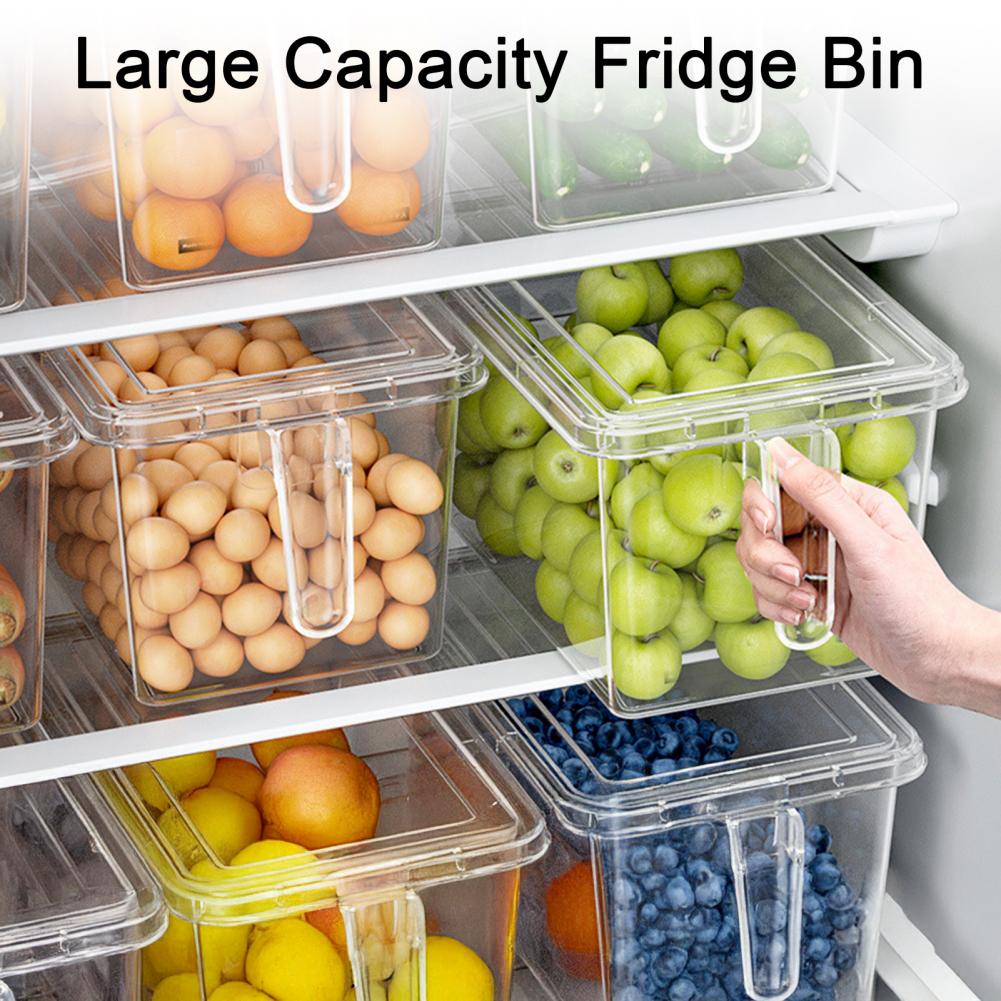Kotak Penyimpanan Kulkas Trans - Meal Prep Veggie ulasan dan harga