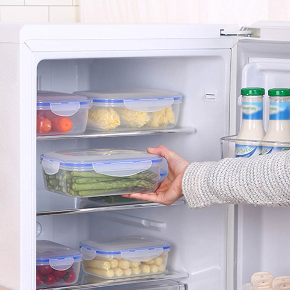 Kotak Makan Siang Plastik untu - Meal Prep Tupperware ulasan dan harga